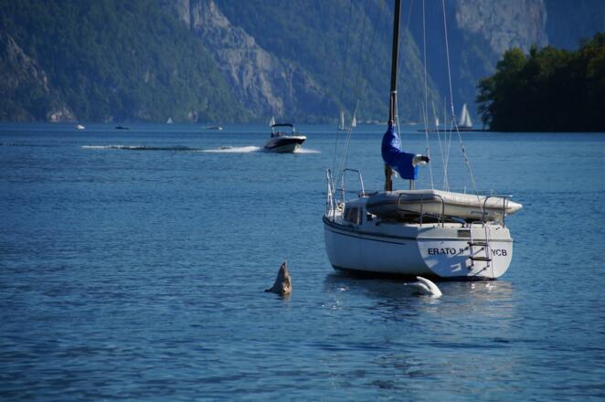 Traunsee 1 km entfernt