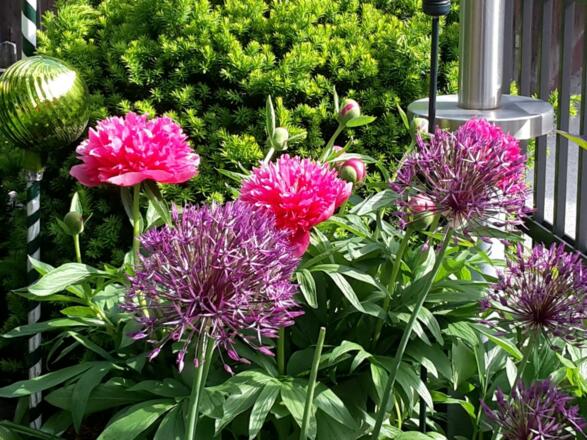 Garten Apartment Alber Fulpmes