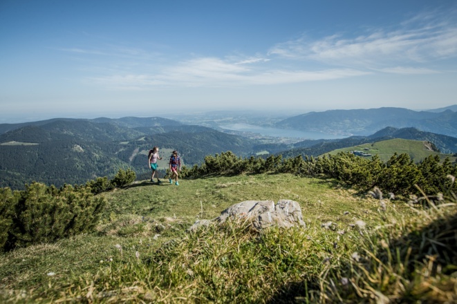Weg zum Hirschberg