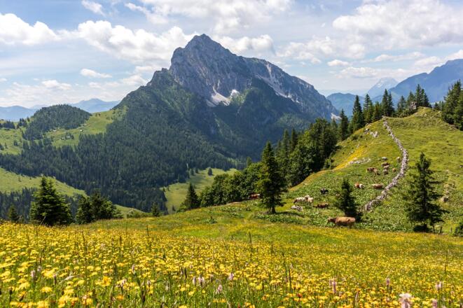 Am Hofalmsattel, Blick zum Bosruck.