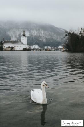 Danninger_Villa-3560