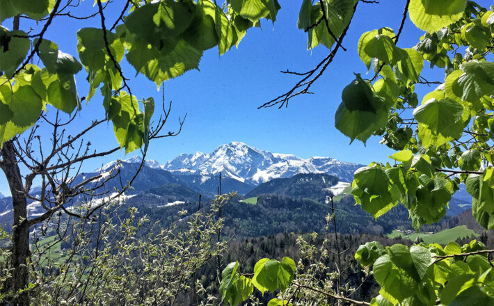 Der Hohe Göll vom Kleinen Barmstein