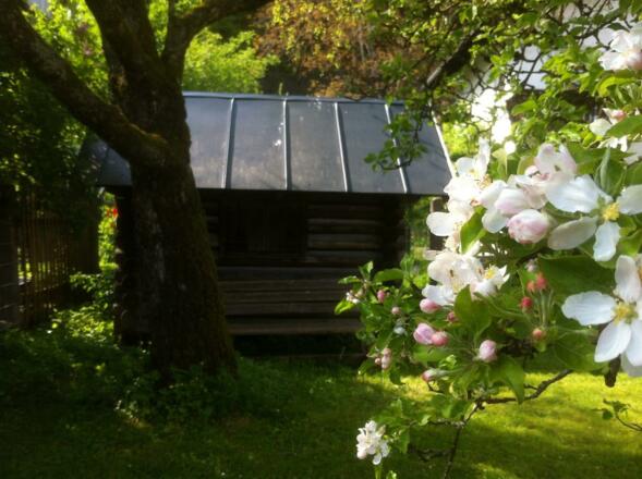 92f120f7-3c05-4754-990d-a19c5108b5bf