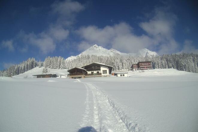 Mittereggalm Winterspaziergang
