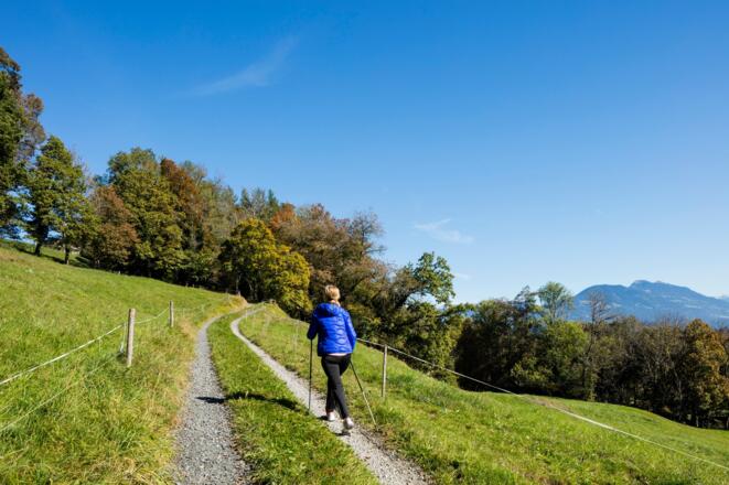 Liechtenstein-Weg zwischen Mauren und Schellenberg