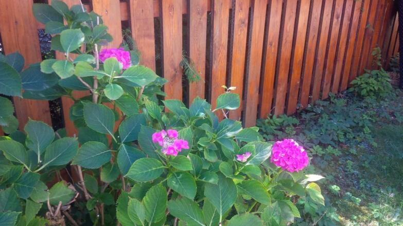 06E04946-BE31-491F-82B6-49AAF249AABE