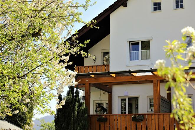 Frühjahr_19