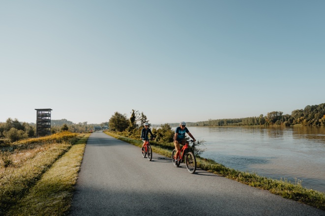Donauradweg bei Au an der Donau, Naarn