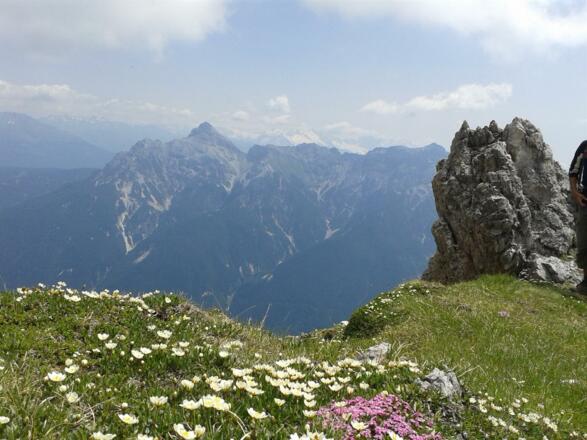 Sommer - Juni in den Stubaier Bergen Fewo Klaus Al