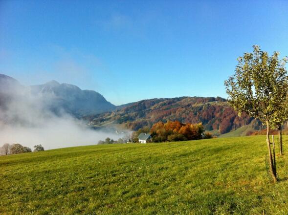 Blick nach Neukirchen