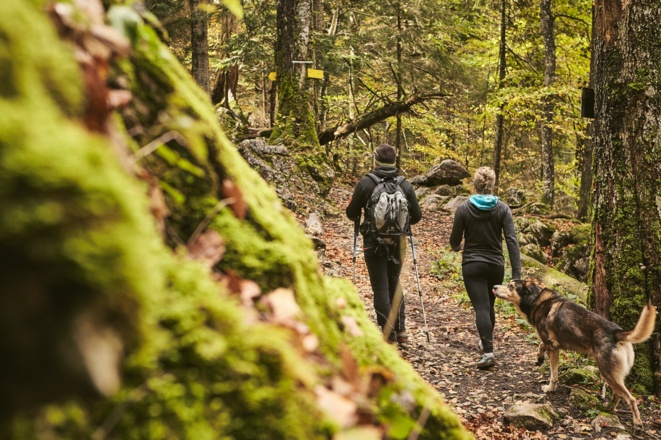 Weg zum Leonhardstein