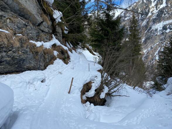 Über den Graben und Querung auf dem Wanderweg zurück zur Aufstiegsspur