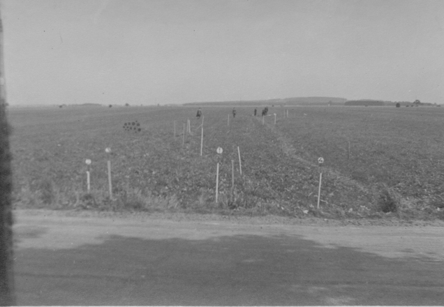 Wiese Staatsstraße