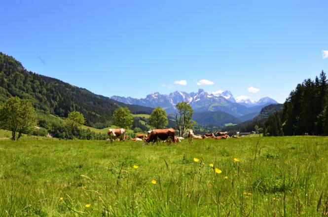Wanderwege ab Haus