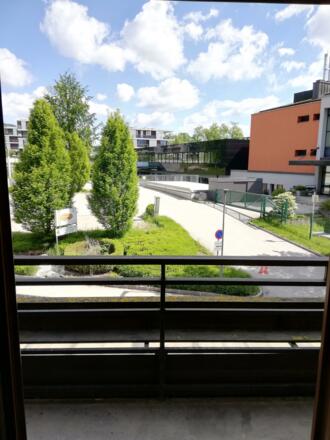 Ausblick