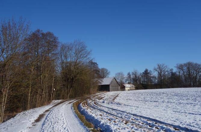 zurück nach Pfatter
