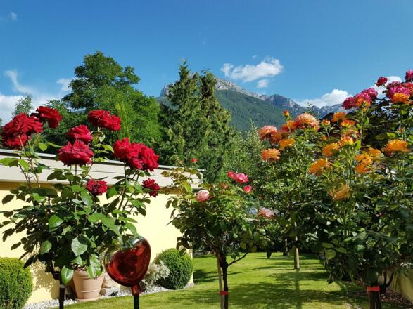 Rosengarten- Apartment Alber Fulpmes , Stubaital