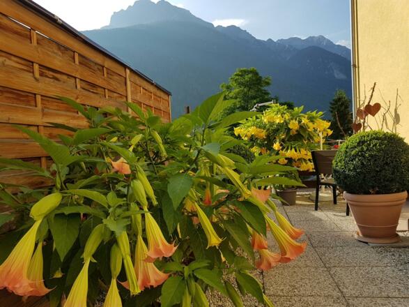 Apartment Alber , Ferienwohnungen Stubaital