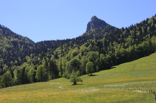 Leonhardstein