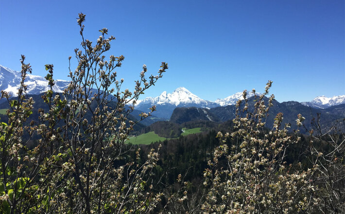 Aussicht vom Barmstein auf die Berchtesgadener Berge