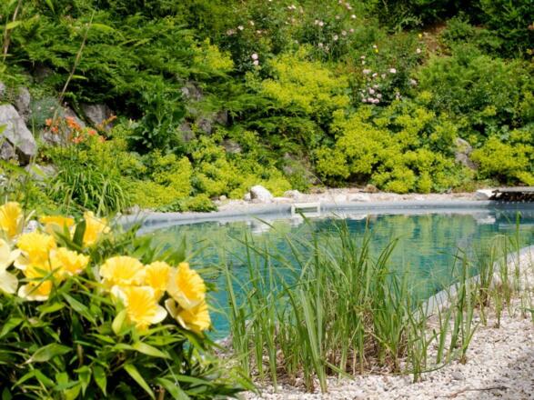 Swimmingpool