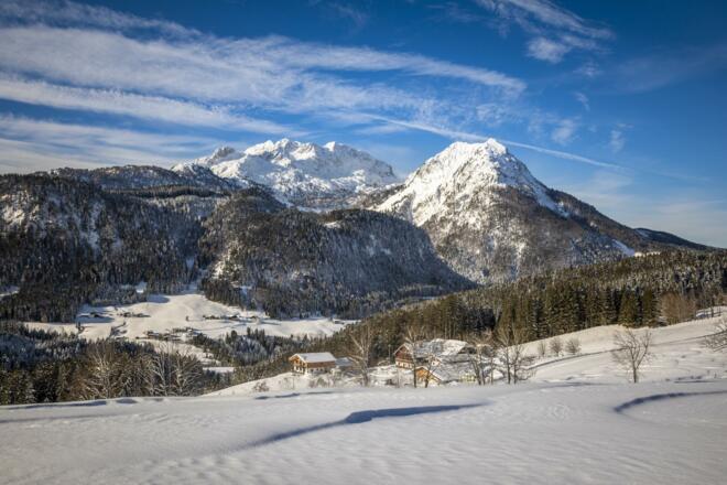 Ausblick