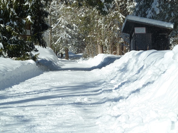 Rodelbahn Hirschberg
