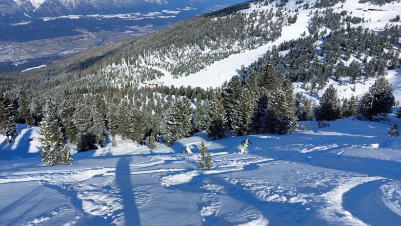 Der Waldgürtel besteht aus Zirben und ist recht "durchlässig" für Skifahrer.