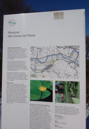 Pfatterer Au - Infotafel