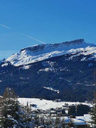 IMG_20220212_140500