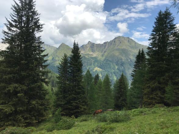 Blick zum Schusterstuhl