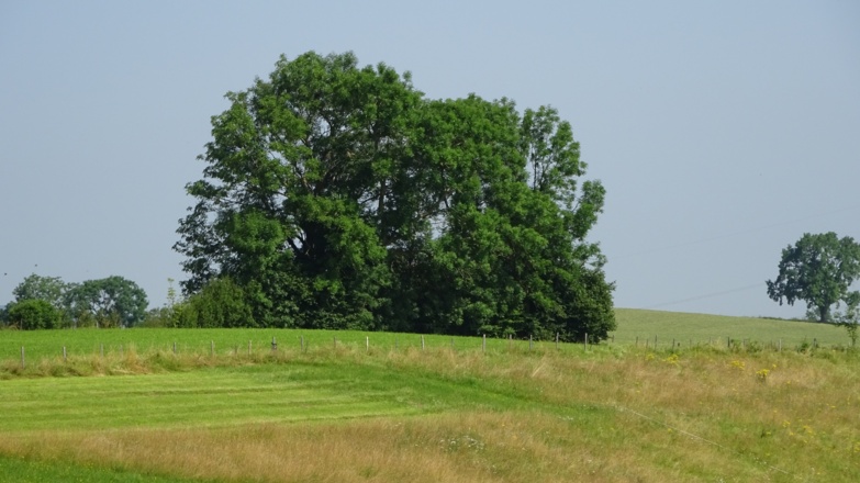 Marktoberdorf Umgebung
