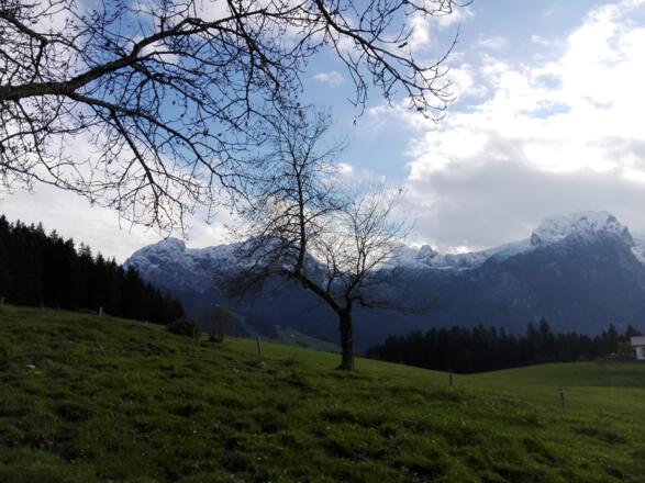 Aussicht auf das Tennengebirge