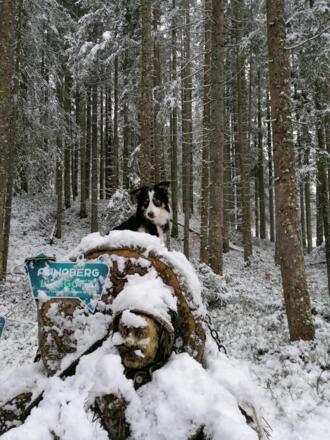 Am Heufigurenweg 2