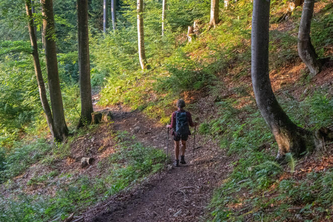 Abstieg von der Hofalm.