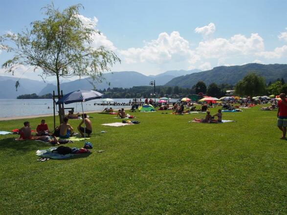 Liegewiese am See