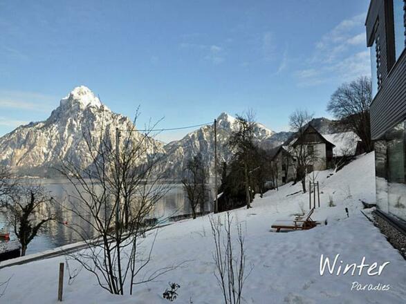 SEE31_winter2