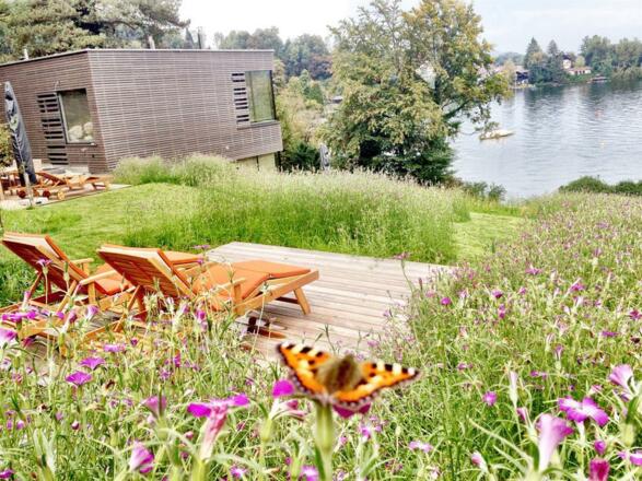 ferienwohnung_traunsee_schmetterling_klein