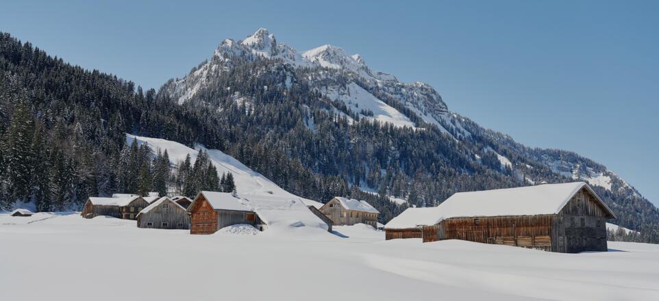 Schönenbach im Winter
