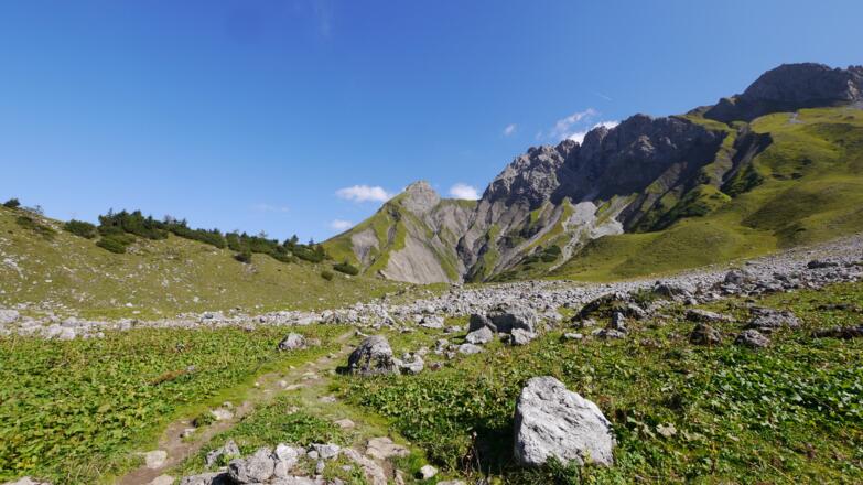 Rund um die Obere Biber-Alpe