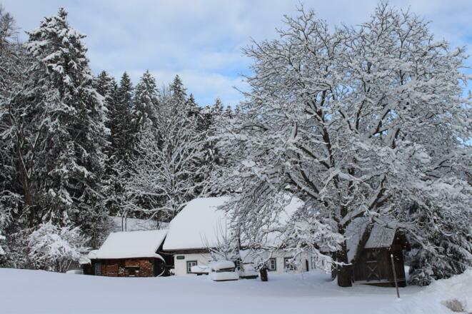 Winter wie aus dem Bilderbuch
