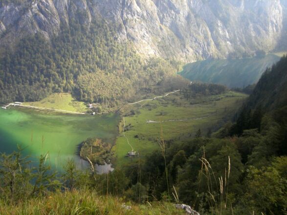Saletalm vom Sagereckersteig
