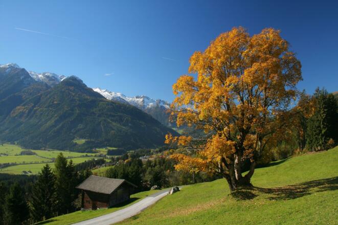 Herbst Wildkogel Arena