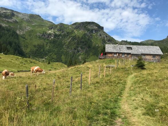 Weg zur Tonimörtelhütte