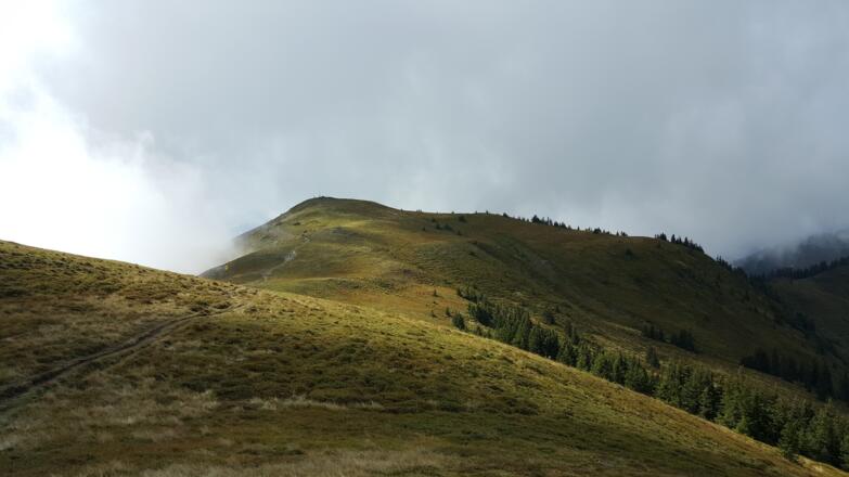 Am Weg zum Schneeberg
