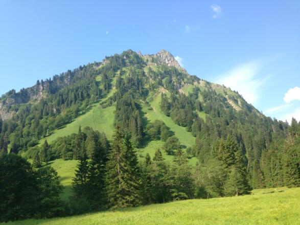 Blick vom Giebelhaus auf den Giebel