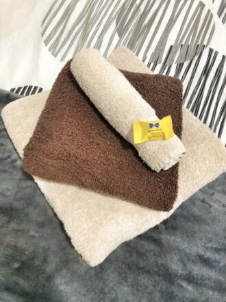 Schloß Orth mit Segelboot