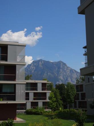 Haus
