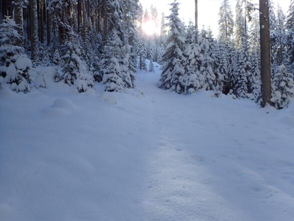Die Skitourenroute ist normalerweise gespurt