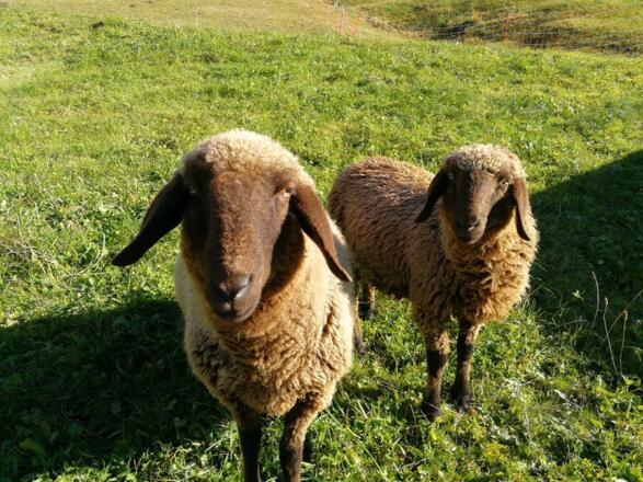 Heidi und Frederike